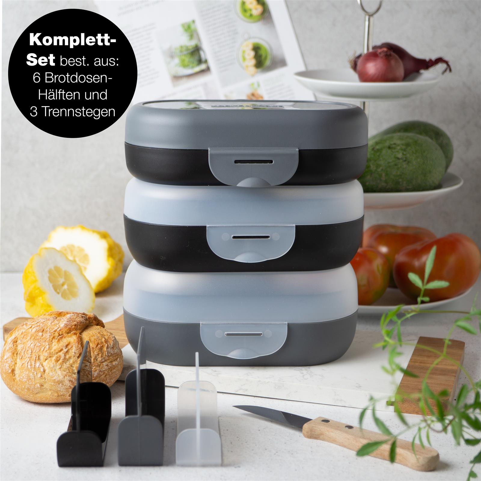 Eine bunte Auswahl an Brotdosen und Lunchboxen in verschiedenen Größen und Farben, präsentiert in einem Arrangement