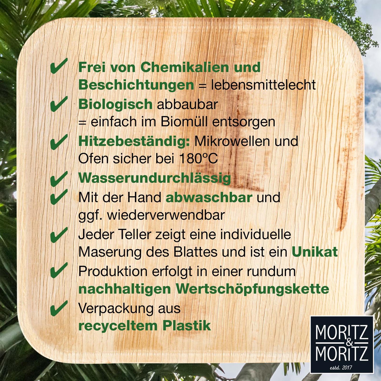 Palmblattteller, Ein quadratischer Palmblatt-Teller mit einer Kantenlänge von 20 cm